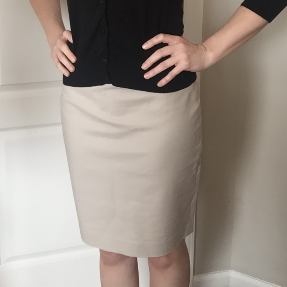 Pencil skirt NWOT